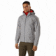 Arcteryx Zeta FL Jacket - Mens, Pegasus, Large, 416657