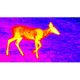 ATN OTS 4T, 1.5-15x, 640x480, Thermal Viewer w/ Full HD Video rec, WiFi,Smooth zoom, iOS/Android Controlling App, Black, TIMNO4642A