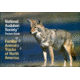 Audbn Pg Animal Tracks N Amer, National Audubon Society, Publisher - Random House