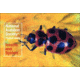 Audbn Pg Insects &amp; Spider, John Farrand, Publisher - Random House
