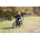 Bakcou Flatlander 17.5ah eBike, Matte Black, 9507381147931