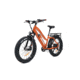 Bakcou Flatlander Step-Through 24in 21ah eBike, Gloss Burnt Orange, 9501279867116
