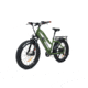 Bakcou Flatlander Step-Through 24in 21ah eBike, Matte Army Green, 9502964889475