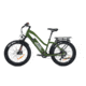 Bakcou Flatlander Step-Through 24in 21ah eBike, Matte Army Green, 9502964889475