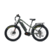 Bakcou Mule 25ah eBike, Kuiu Verde 2.0, 9501353197238
