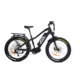 Bakcou Mule 25ah eBike, Matte Black, 9504171445895
