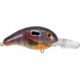 Bandit 100 Series Crankbait, 2in, 1/4oz, Sun Perch, BDT1D35