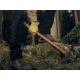 Barebones Pulaski Axe, 21 in. Beechwood Handle, HMS-2112