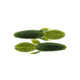 Bass Assassin Skunk Ape 4-1/4in 7 ct Watermelon Candy, SKA4459