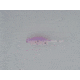 Bass Assassin Tiny Shad Assasin Swimbaits, 15, 1 1/2in, Albino Ghost, SA01744