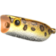 Bass Mafia Cannonball Poppin Frog Swimbait, leopard Frog, 2.6in, BMCPF-26-LFG