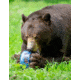 BearVault Sprint Bear Resistant Food Canister, Transparent Blue, 1.3 Gal, BV425