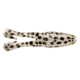 Berkley BuzzN Speed Toad Topwater, 5, 4.25in, HD Snow Leopard, 1522033