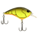 Berkley Clickinft Frittside Hard Bait, Crankbait, 5 Junior, 1/4oz, 2in / 5cm, 2ft-5ft / 0.5-1.5m, Hook Size 7, 2 Hooks, Rootbeer Craw, 5 Junior, 1569994