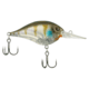 Berkley Dime Hard Baits, Crankbaits, Freshwater, 1/2 oz, Ghost Gill, 6, 1596579