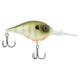 Berkley Dime Hard Baits, Crankbaits, Freshwater, 3/4 oz, Killer Gill, 15, 1596618