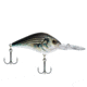 Berkley Dredger Body Shape And Weighted Bill Dives Deep, Slow Rise, 20-22, HD White Bass, 3in, 7/8oz, BHBDR20.5-HDWHB