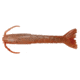 Berkley Gulp! Saltwater Shrimp Soft Bait, 3in, 6 Pack, New Penny, 1109386