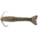 Berkley Gulp! Saltwater Shrimp Soft Bait, 4in, 8 Pack, Natural Shrimp, 1115911