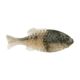 Berkley PowerBait Gilly Soft Bait, Blue Shiner Gold, 110, 1546073