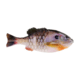 Berkley PowerBait Gilly Soft Bait, HD Bluegill, 90, 1546052