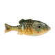 Berkley PowerBait Gilly Soft Bait, HD Pumpkinseed, 110, 1546065