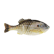 Berkley PowerBait Gilly Soft Bait, HD Sunfish, 130, 1546075