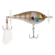 Berkley Spin Bomb Hard Bait, Topwater, Ghost Bluegill, 60, 1487239