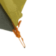Big Agnes Blacktail 4 Tent, Warm Olive/Chinois Green, 4 Person, TBT425