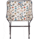Big Agnes Mica Basin Camp Chair, Bugs, FMBCCBUG24