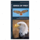 Birds Of Prey, James Kavanagh, Publisher - Pocket Naturalist