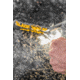 Black Beard Fire Ferro Rod, Black/Yellow, BB-FerroRod