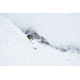 Black Crows Atris Skis, 189.7, 101010-189