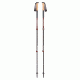 Black Diamond Alpine Carbon Cork  Womens Trekking Poles BD1121980000ALL1