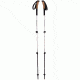 Black Diamond Alpine Ergo Cork Trekking Poles