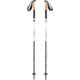 Black Diamond Alpine FLZ Trekking Poles-110 cm-White/Black