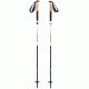 Black Diamond Alpine FLZ Trekking Poles with Tip Protector, 110 cm, BD11220300001101