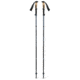 Black Diamond Trail Vista FLZ Trekking Poles