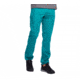 Black Diamond Credo Pants - Mens, Dark Teal, 32, APP25N30240321
