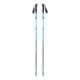 Black Diamond Distance Carbon FLZ Poles - Women's