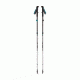 Black Diamond Distance FLZ Womens Z Trekking Poles, Evegreen, 125 cm BD11220700001251