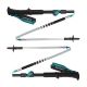 Black Diamond Distance FLZ Trekking Poles - Women's