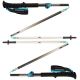Black Diamond Distance FLZ Trekking Poles