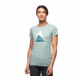 Black Diamond Mountain Transparency Tee - Womens, Blue Ash, Large, AP7300614006LRG1