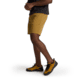 Black Diamond Notion Shorts - Mens, Flax, Extra Large, AP7511262021XLG1