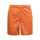 Black Diamond Notion Shorts - Men's, Saffron, Medium, AP7511268012MED1