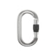Black Diamond Oval Keylock Screwgate Carabiner, Polished, One Size, BD2102080013ALL1