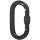 Black Diamond Oval Screwgate Carabiner, Black, BD210084BLAKALL1