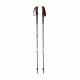 Black Diamond Trail Pro Shock Trekking Poles