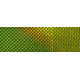 Brads Reflective Tape, Chartreuse Scale, 2 X 6, 3 Pack, RT-15